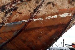 antifoul3