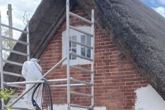 thatch1